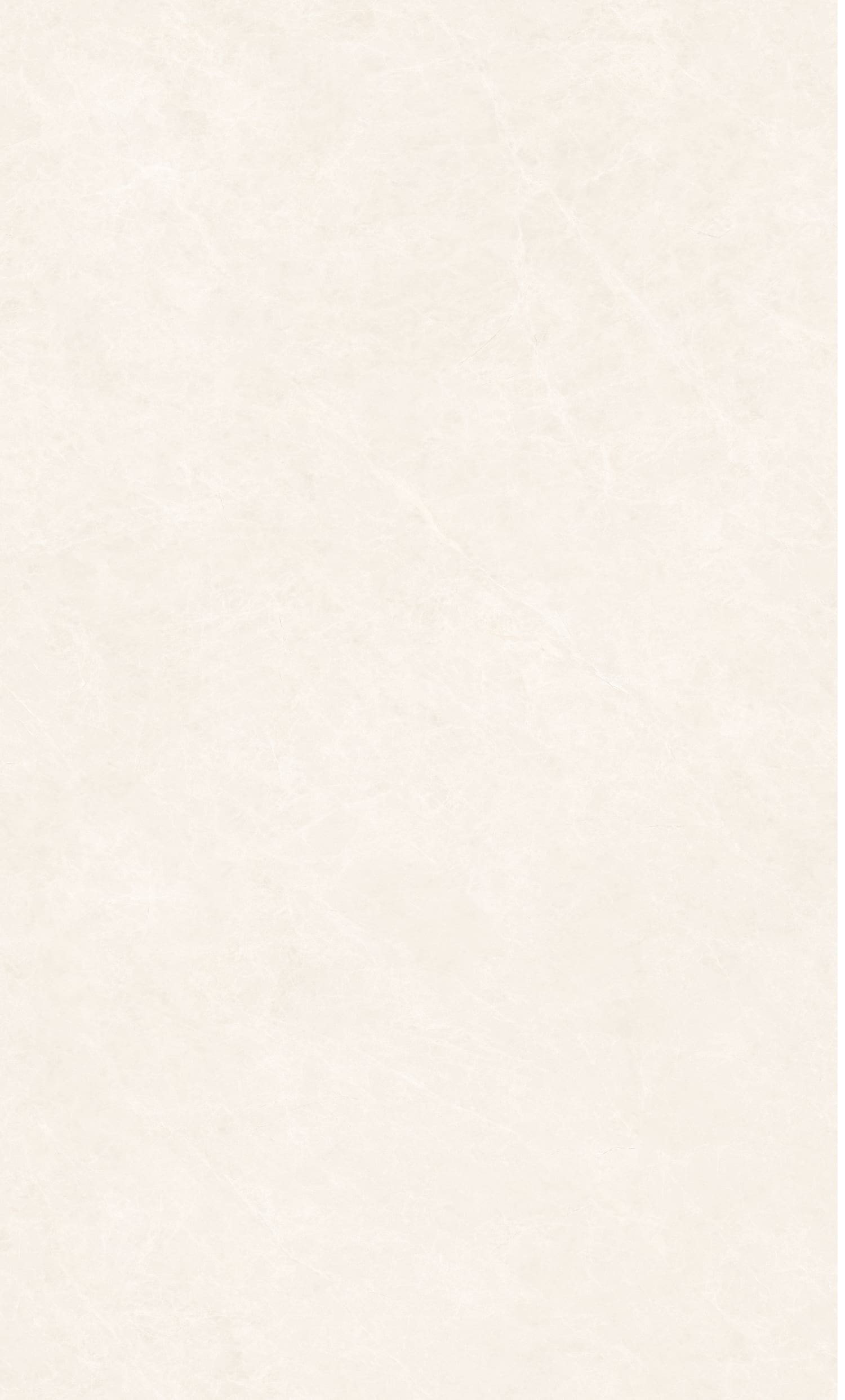 白玉蘭 MSTD138928產(chǎn)品圖